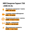 ИБП для котла Энергия Гарант 750 + Аккумулятор 55 Ач 12 В (450Вт - 67мин) - ИБП и АКБ - ИБП для котлов - . Магазин оборудования для автономного и резервного электропитания Ekosolar.ru в Красноярске