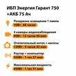 ИБП для котла Энергия Гарант 750 + Аккумулятор 75 Ач 12 В (450Вт - 91мин) - ИБП и АКБ - ИБП для котлов - . Магазин оборудования для автономного и резервного электропитания Ekosolar.ru в Красноярске