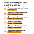 ИБП для котла Энергия Гарант 1000 + Аккумулятор Grid 100 Ah 12 v (600Вт - 91мин) - ИБП и АКБ - ИБП для котлов - . Магазин оборудования для автономного и резервного электропитания Ekosolar.ru в Красноярске